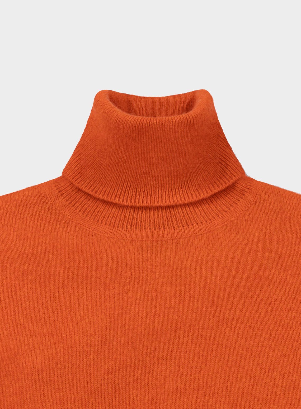 Cashmere Roll Neck in Rust