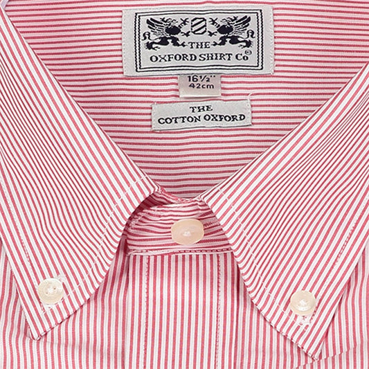 Button Down Shirt in Red Stripe