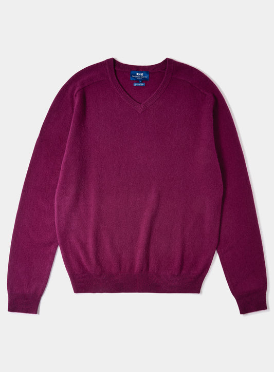 Cashmere V Neck in Aubergine