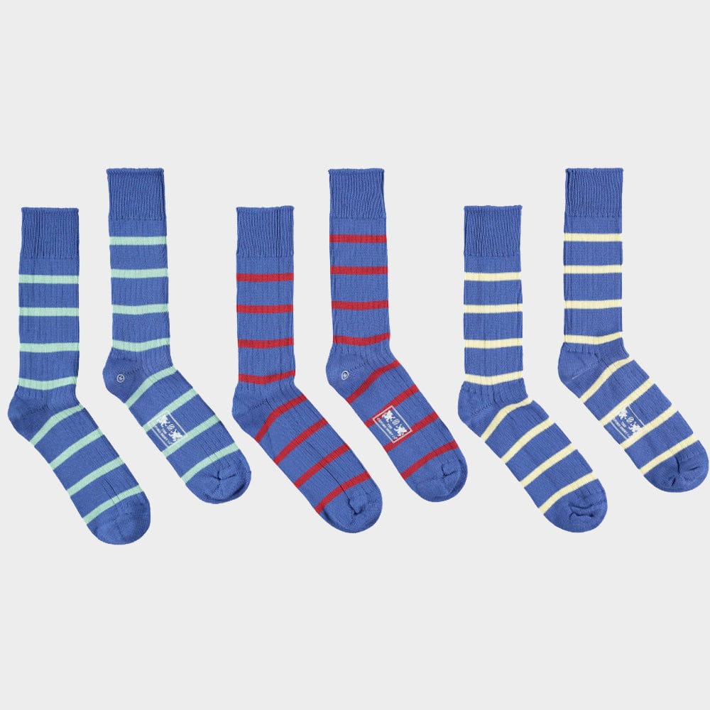 "3 Pack of Socks in Royal Blue Stripes"