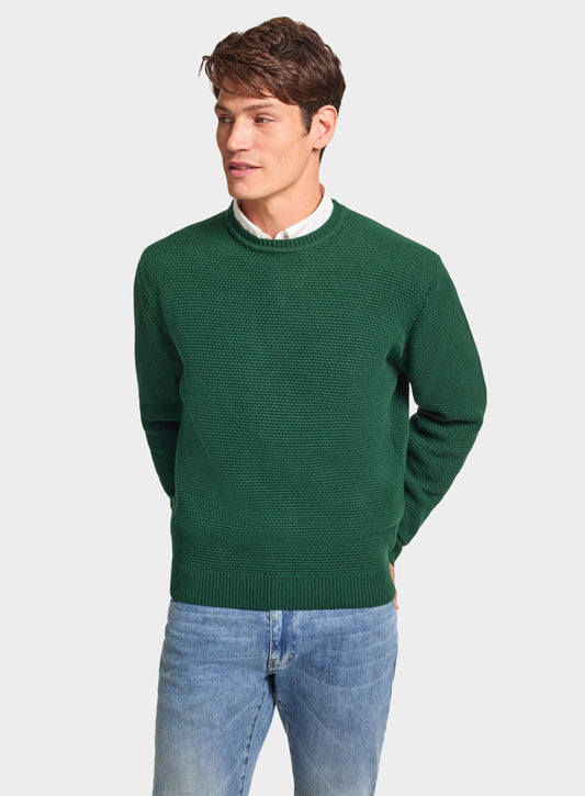 Men’s cotton blackberry crew neck jumper in Green.