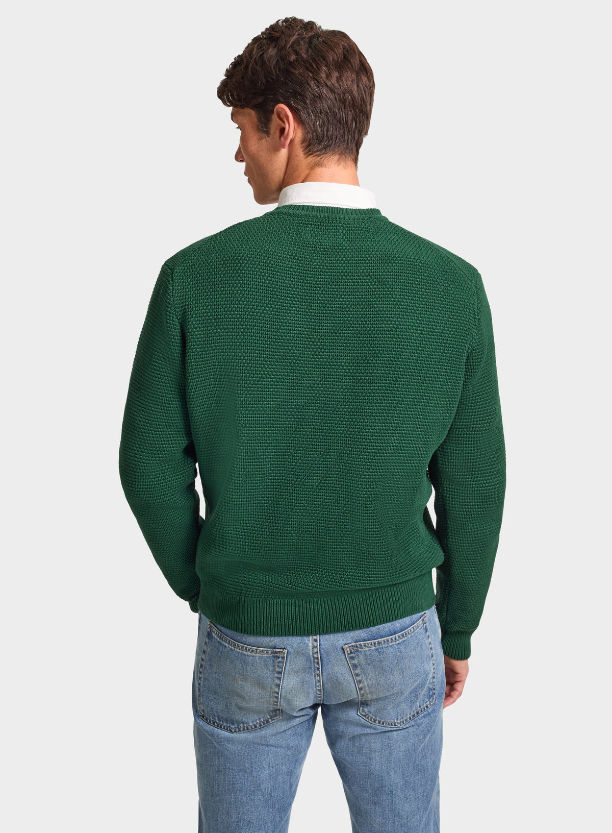 Men’s cotton blackberry crew neck jumper in Green.