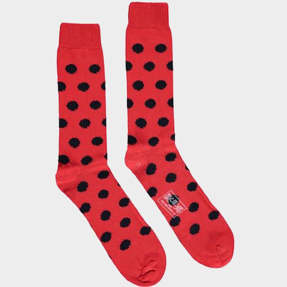 3 Pack of Socks in Blue Spots