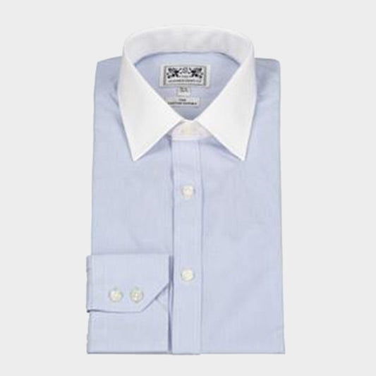 Classic Shirt in Fine Blue Stripe with White Collar