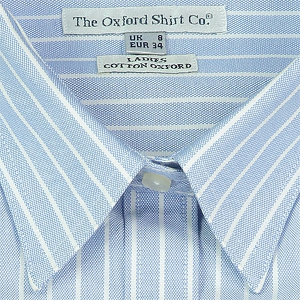 Fitted Shirt in Blue and White Stripe