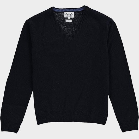 Wool V Neck in Navy